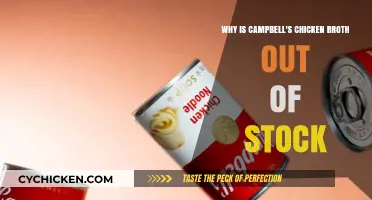 The Great Chicken Broth Shortage: What's Behind Campbell's Stock Woes?
