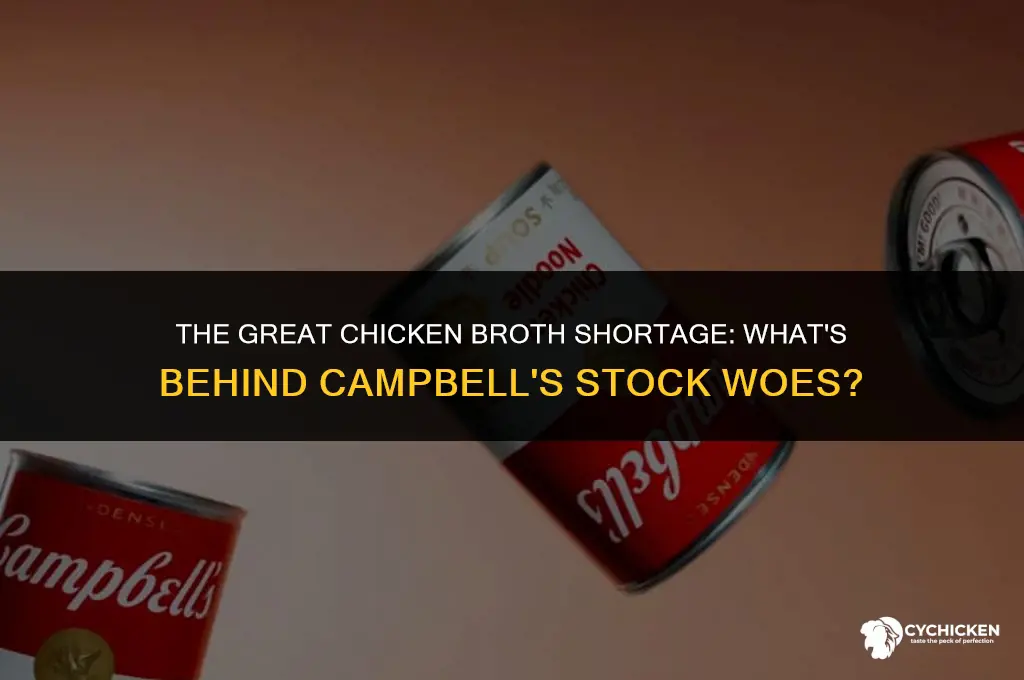 why is campbell