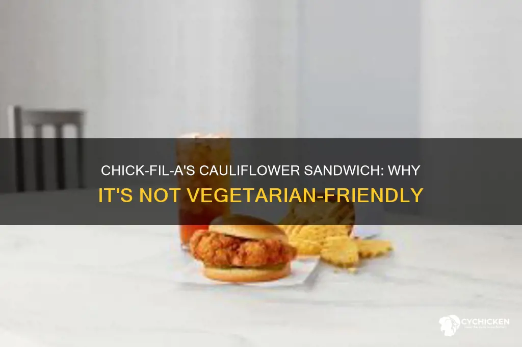 why is chick fil a cauliflower sandwich not vegetarian