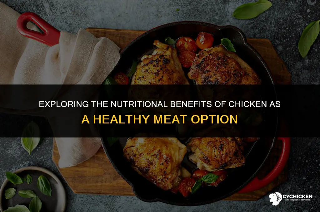 why is chicken a healthy meat journal