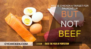 Chicken Salmonella: Why Not Beef?
