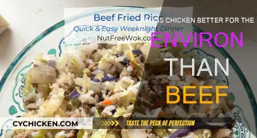 Chicken: A Greener Meat Alternative to Beef