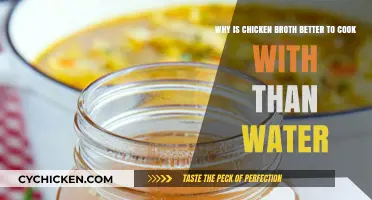 Elevate Your Cooking: The Superiority of Chicken Broth Over Water