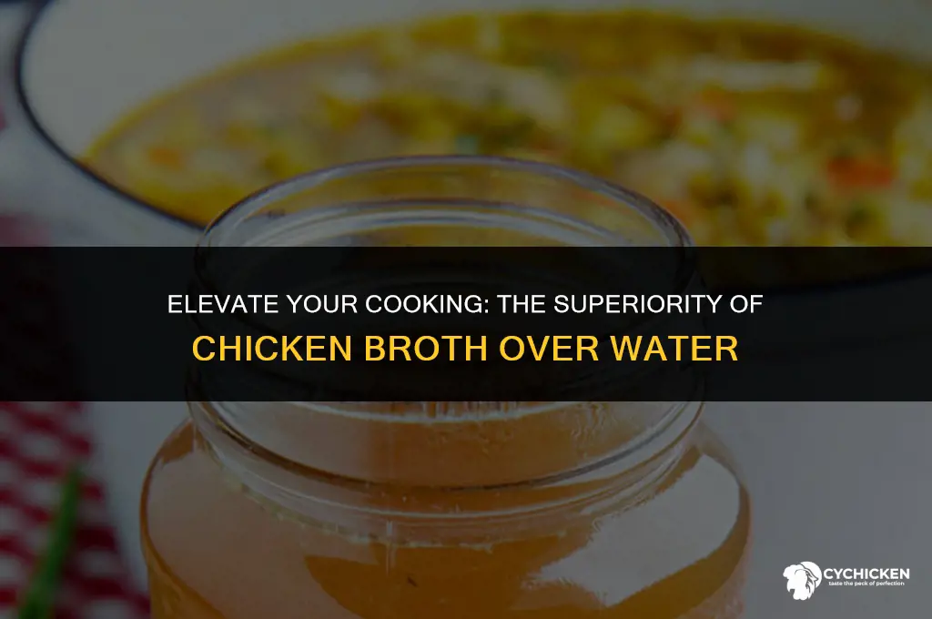 why is chicken broth better to cook with than water