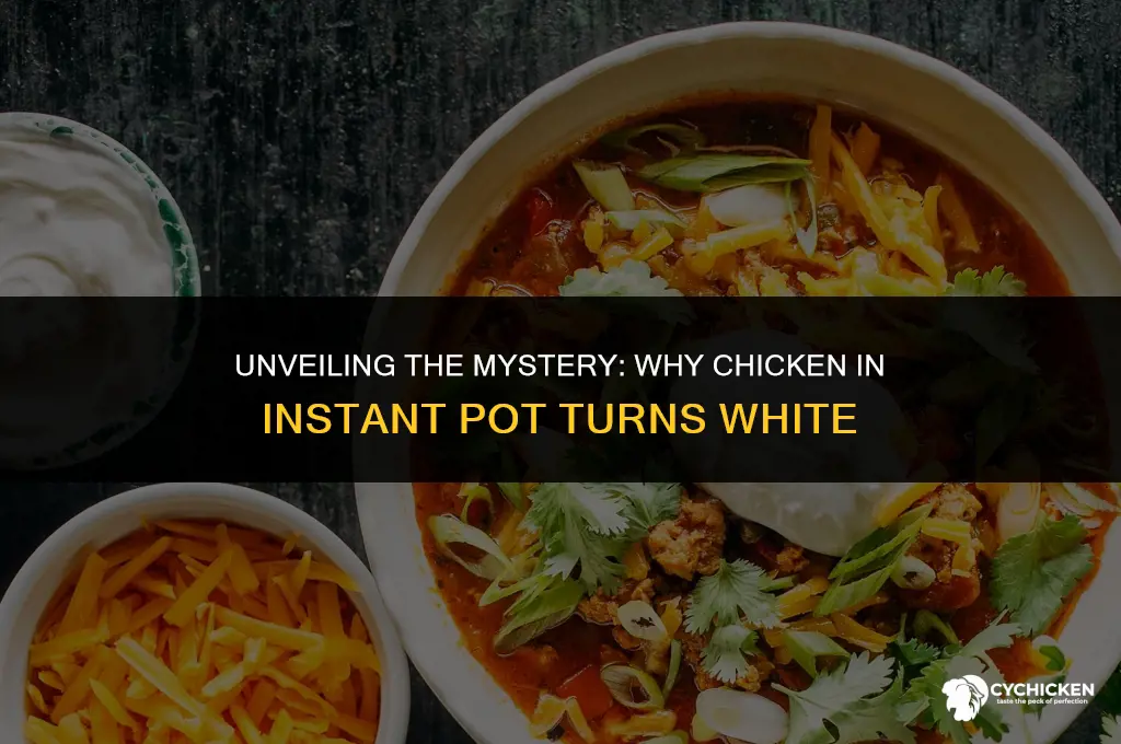 why is chicken cooked in instant pot white