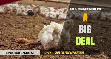 Chicken Cruelty: Why It's Often Overlooked in Modern Farming Practices