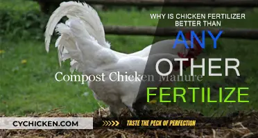 Chicken Fertilizer: Superior Garden Superfood