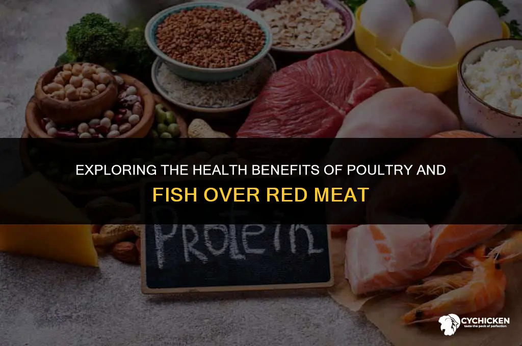 why is chicken fish turkey healthier than