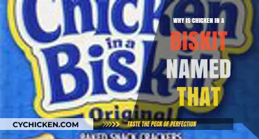 Why Chicken in a Biskit's Name is a Crunchy Mystery