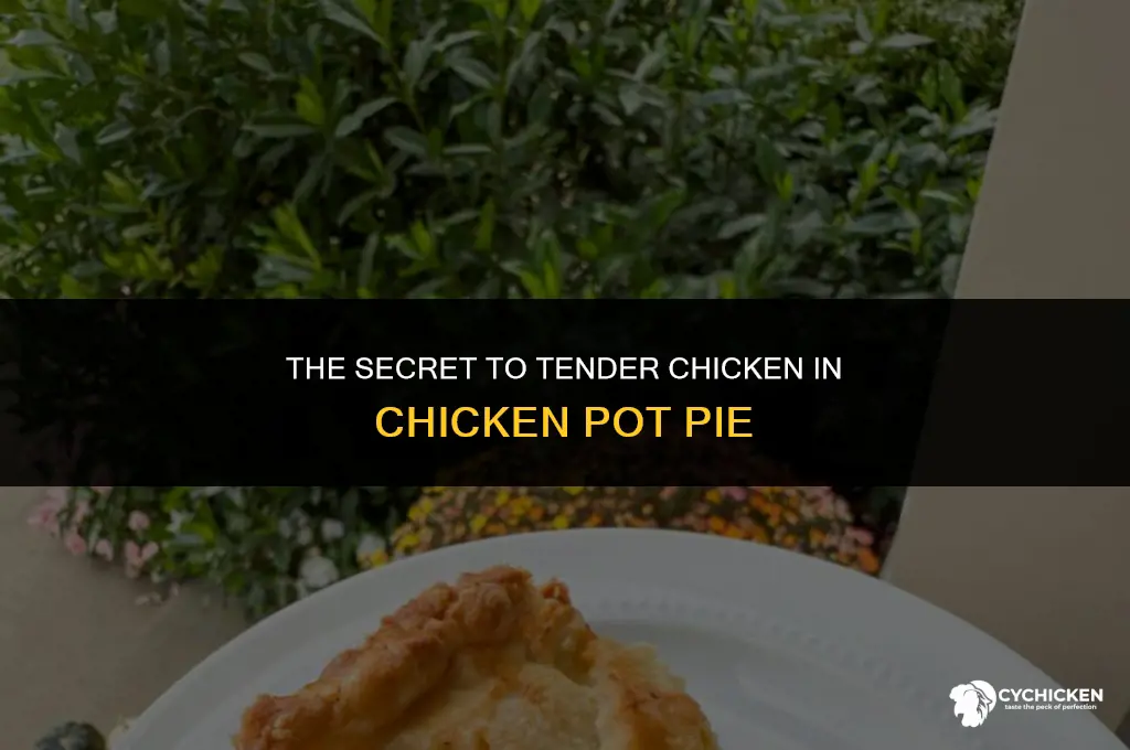 why is chicken in chicken pot pie so tender
