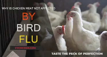 Chicken Meat: Bird Flu Resistant Superpower