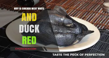 Why Chicken Meat is White and Duck Meat is Red: Unraveling Poultry Color Differences