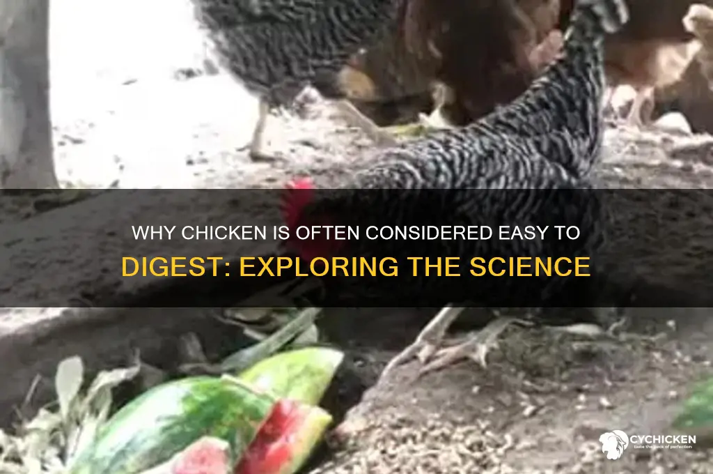 why is chicken perceived as easy to digest