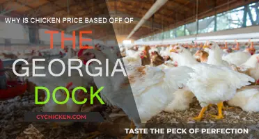 Chicken Price Mystery: Georgia Dock's Influence Explained