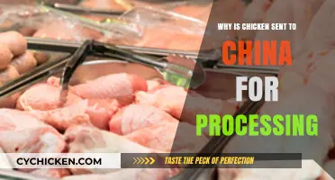 Why U.S. Chicken is Processed in China: Unraveling the Supply Chain