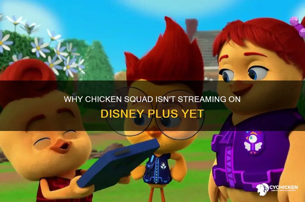 why is chicken squad not on disney plus
