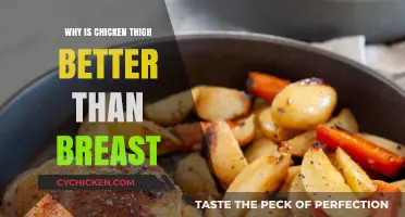 Juicy, Flavorful, and Tender: Why Chicken Thighs Outshine Breasts