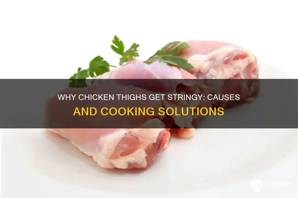 why is chicken thigh stringy