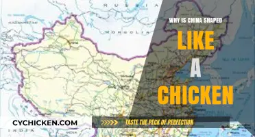 Geopolitical Poultry: Unraveling the Mystery of China's Chicken-like Shape