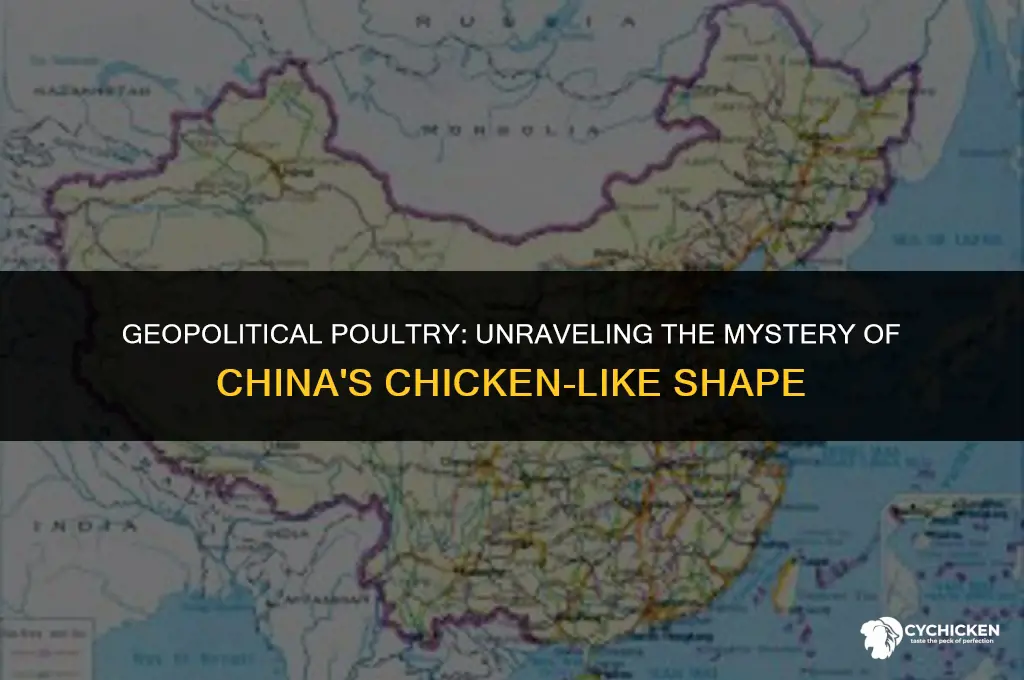 why is china shaped like a chicken
