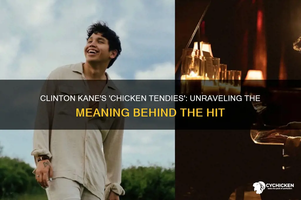 why is clinton kane song called chicken tendies
