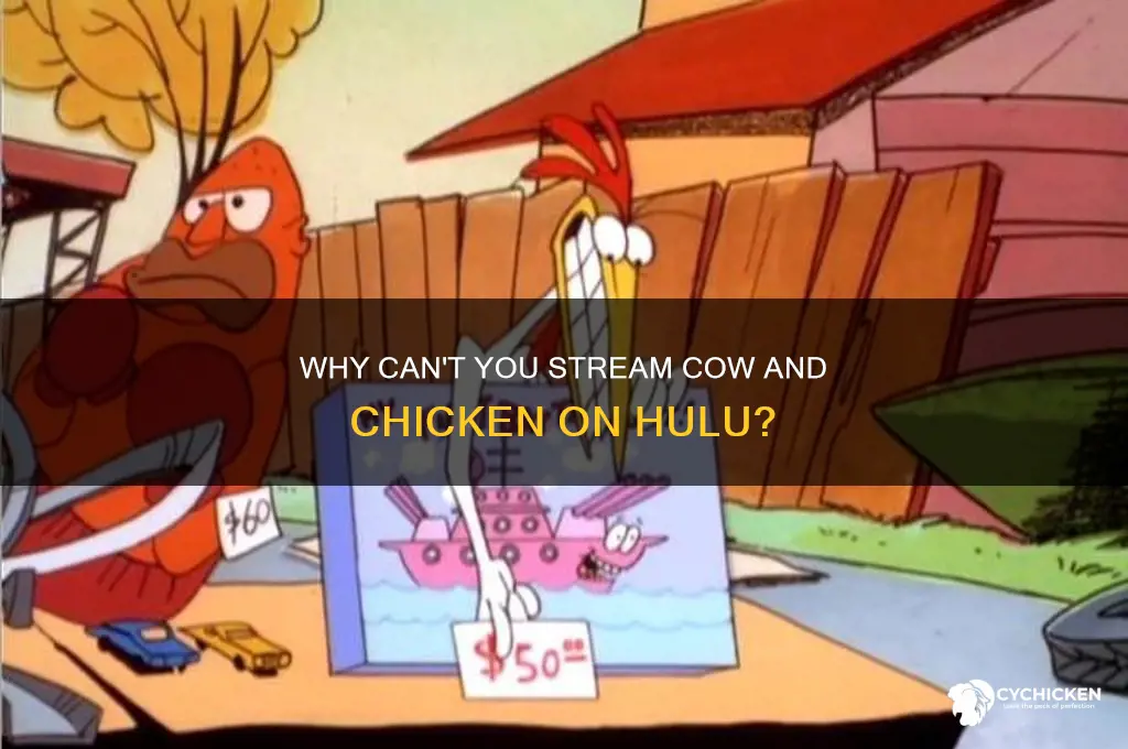 why is cow and chicken unavailable on hulu