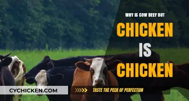 Why We Call Cow Beef but Chicken Stays Chicken: Explained