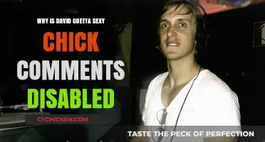 Why David Guetta's 'Sexy Chick' Comments Are Disabled: Explained