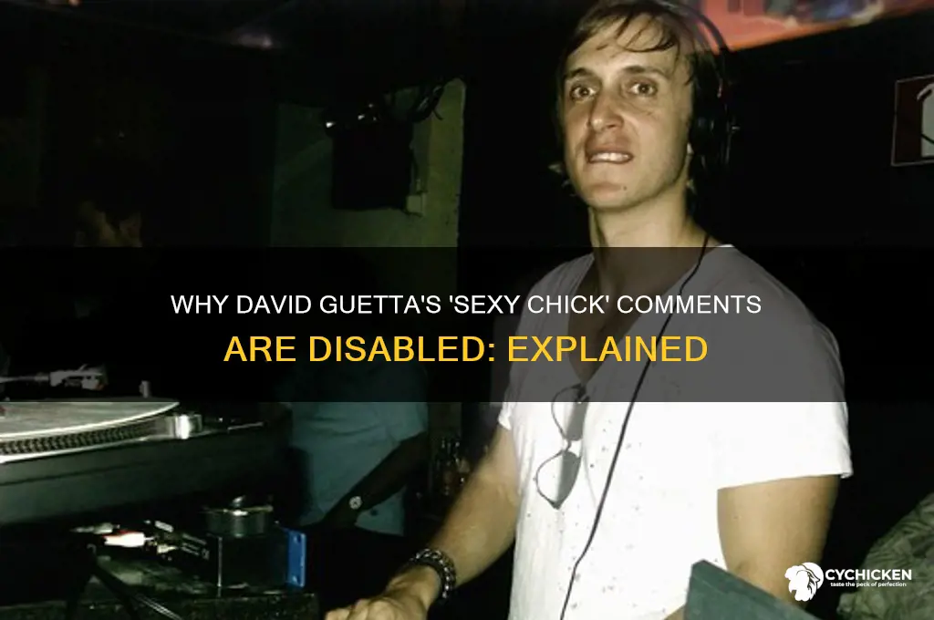 why is david guetta sexy chick comments disabled