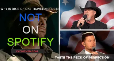 Travelin' Soldier: Why Is It Missing From Spotify?