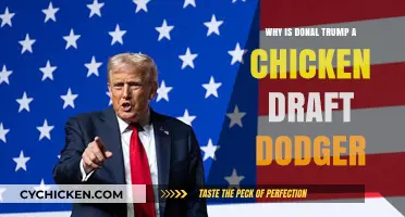 Trump's Draft Dodging: Unraveling the 'Chicken' Controversy and Its Legacy