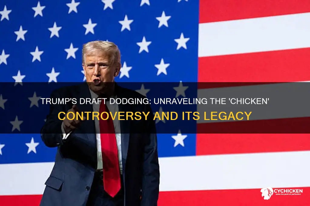 why is donal trump a chicken draft dodger