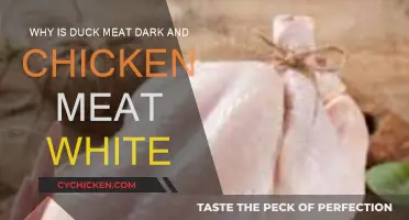 Duck Meat is Dark and Chicken Light: Why?