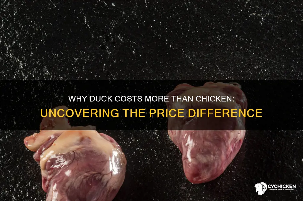 why is duck so expensive compared to chicken