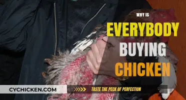 Why the Sudden Surge in Chicken Purchases? Exploring the Trend