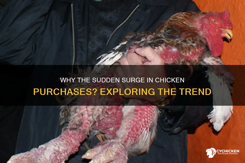 why is everybody buying chicken