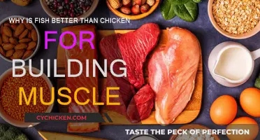 Fish for Muscle Building: Outperform Chicken?