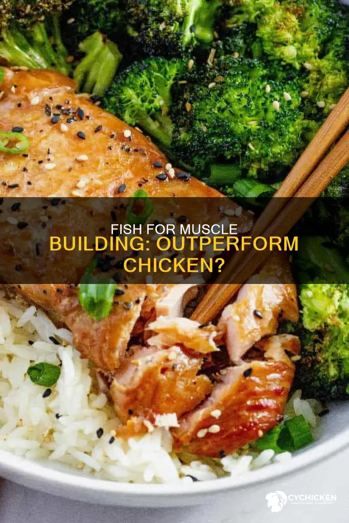 why is fish better than chicken for building muscle