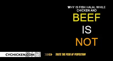 Understanding Halal Meat: Fish, Chicken, and Beef