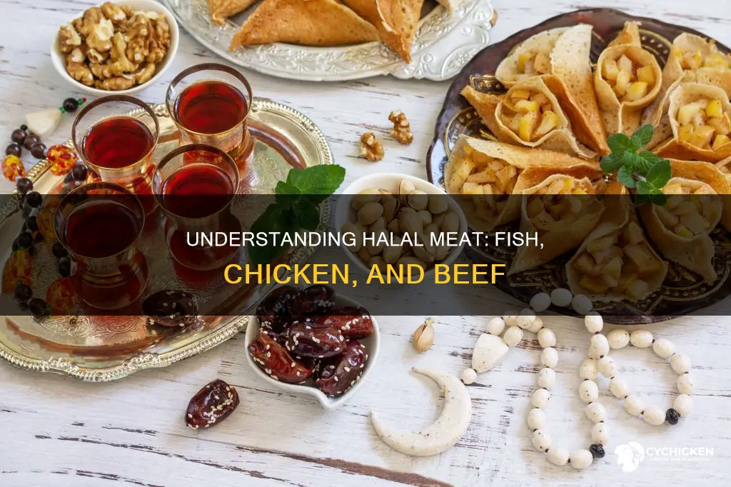 why is fish halal while chicken and beef is not