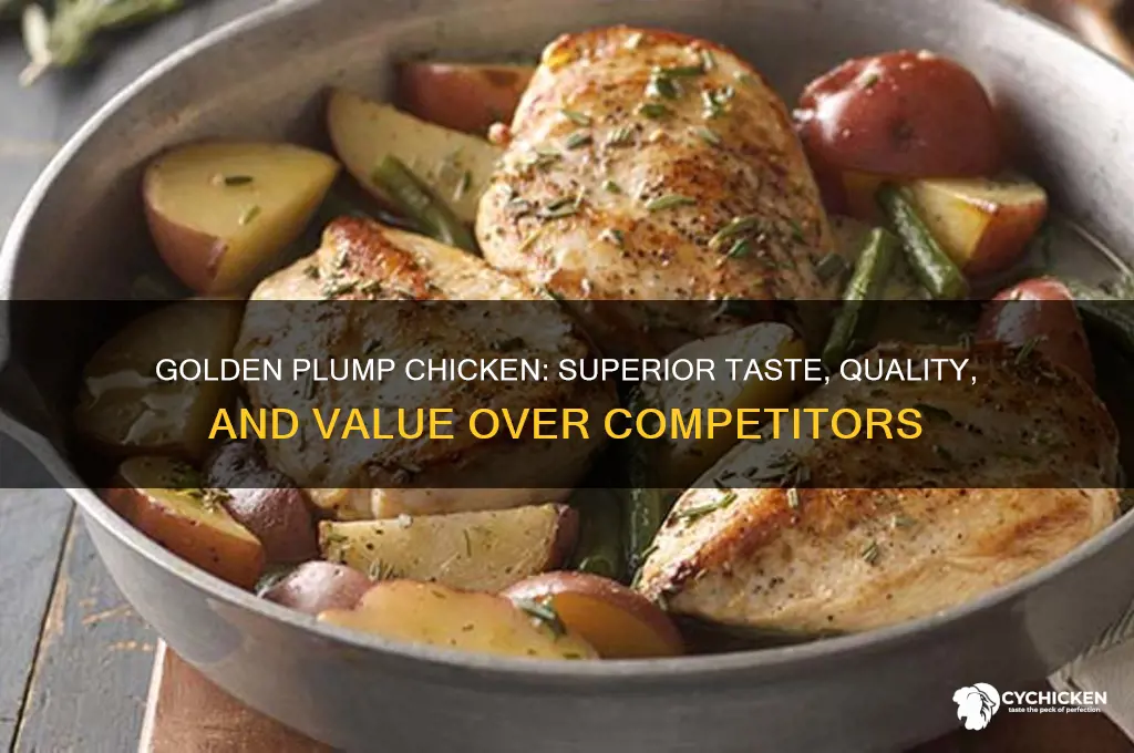 why is golden plump chicken better than competition