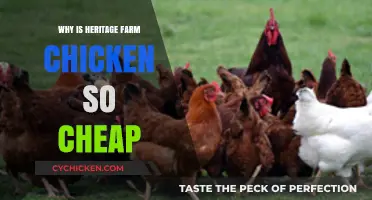 Why Heritage Farm Chicken Costs Less: Uncovering the Affordable Truth