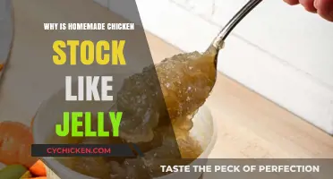 The Surprising Science Behind Homemade Chicken Stock's Jelly-Like Texture
