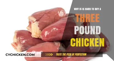 The Surprising Challenges of Finding a Three-Pound Chicken