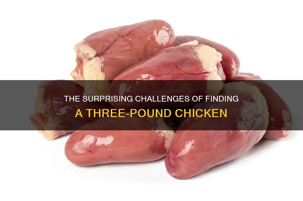why is is hard to buy a three pound chicken