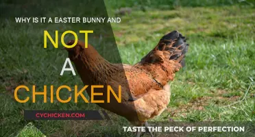 The Easter Bunny Mystery: Why Not a Chicken?