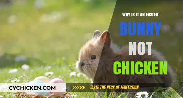 Why Easter Celebrates the Bunny, Not the Chicken: Unraveling Traditions