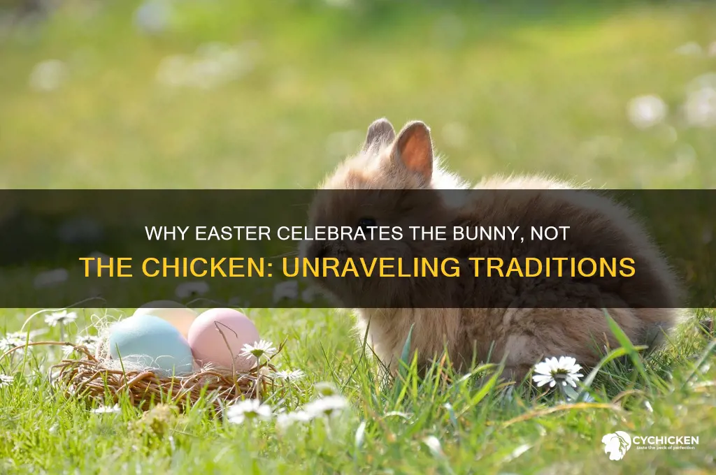 why is it an easter bunny not chicken