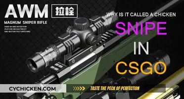 The Chicken Snipe: A CS:GO Mystery