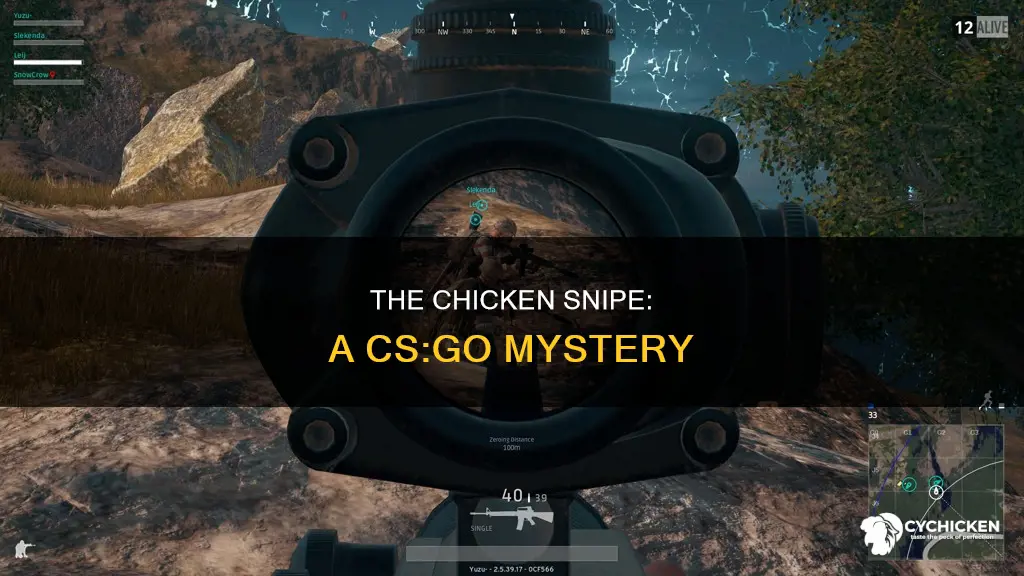 why is it called a chicken snipe in csgo